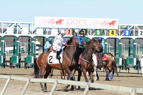 March 10, 2013 @ Parx Racing by Maria Remedio by Maria...