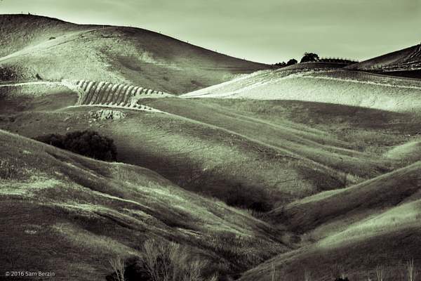 Green Hills by SBerzin