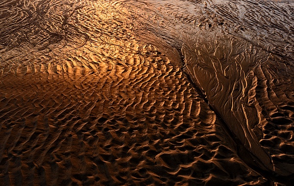 Golden Hour Sand Patterns