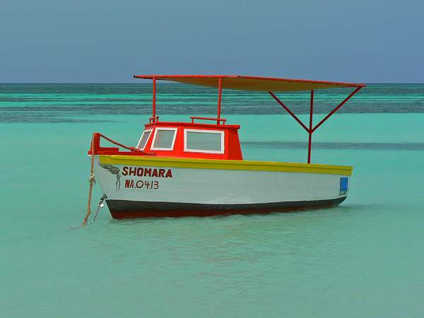 Aruba (8) by Gary Acaley