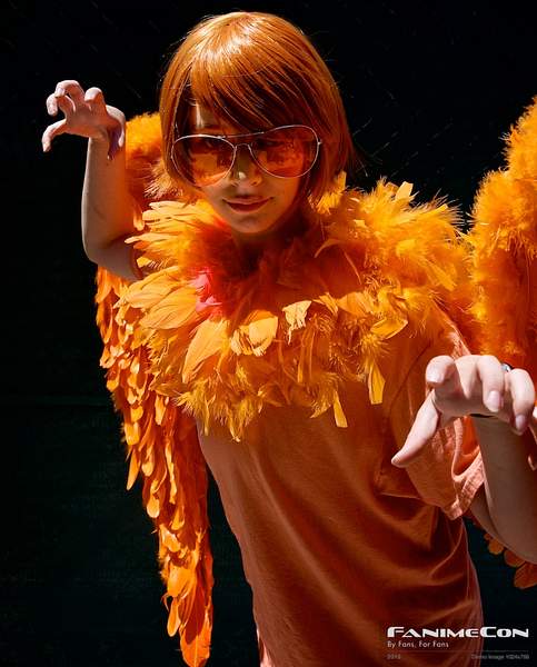 Orange Feathers 208 by Greg Edwards
