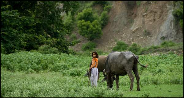 Girl with buffalo by Gino De  Grandis