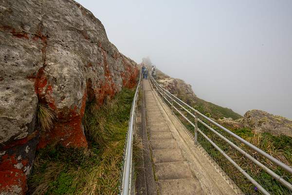 Steps to Lighthouse.jpg by Harrison Clark