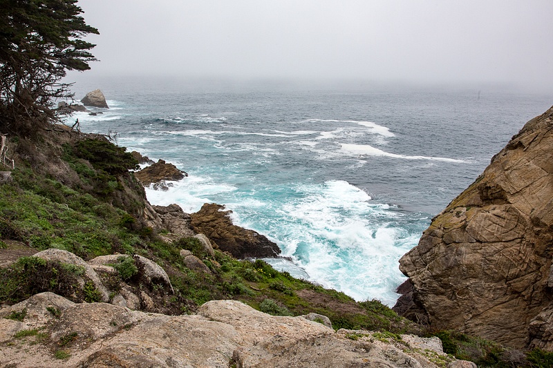 Point Lobos-16