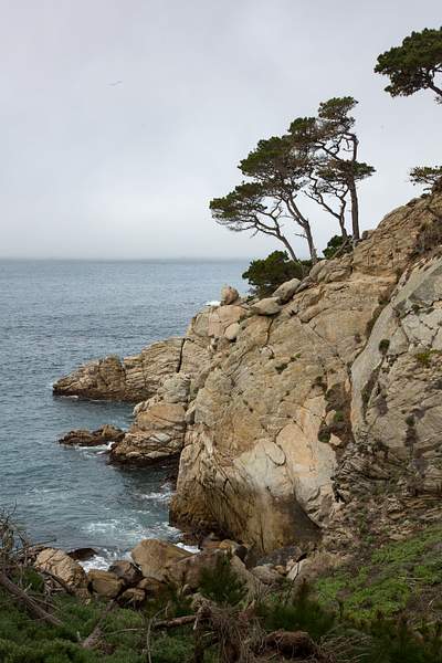 Point Lobos-6.jpg by Harrison Clark