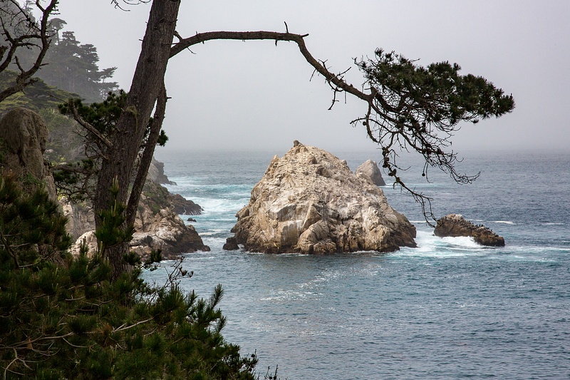 Point Lobos-5.jpg