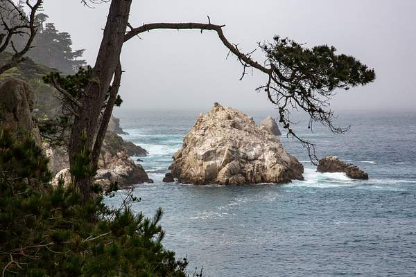 Point Lobos-5.jpg by Harrison Clark