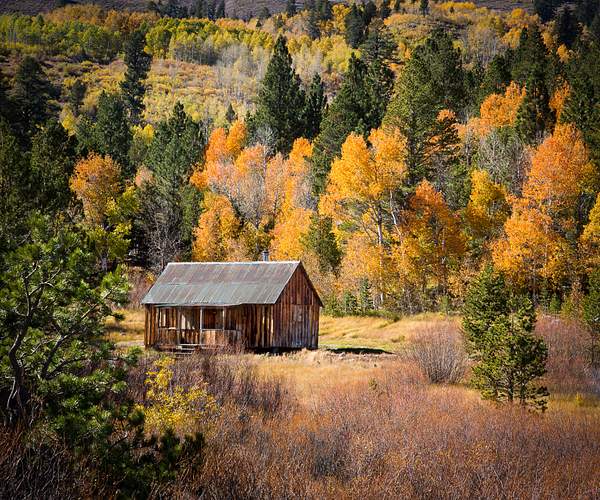 Carson Pass Cabin in Fall.jpg by Harrison Clark