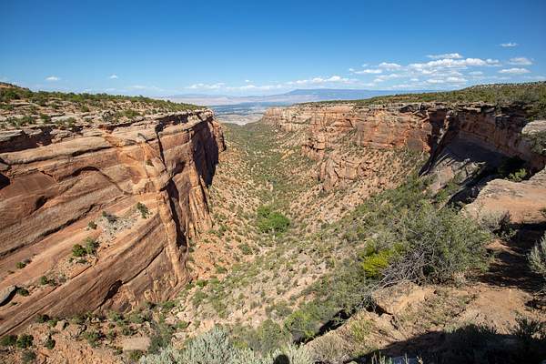 Colorado National Monument -22 by Harrison Clark