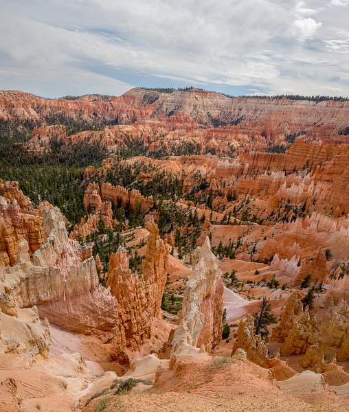 Bryce Canyon by Harrison Clark