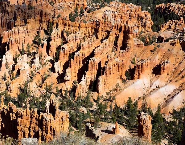 Bryce Canyon-20 by Harrison Clark