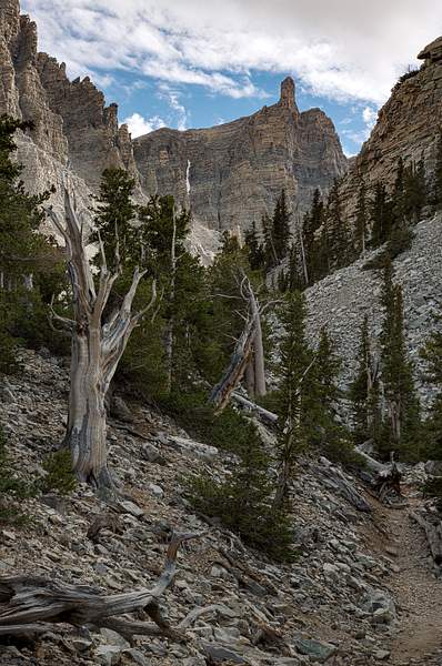 Great Basin NP-6 by Harrison Clark