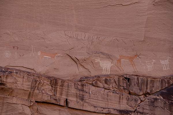 Canyon de Chelly - Canyon-44 by Harrison Clark