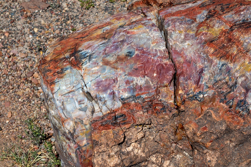 Petrified Forest National Park-35