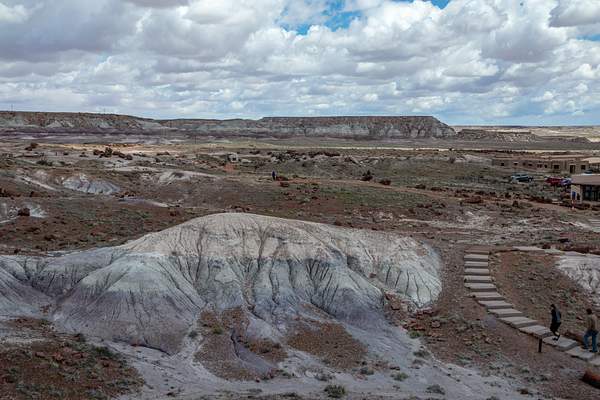 Petrified Forest National Park-16 by Harrison Clark