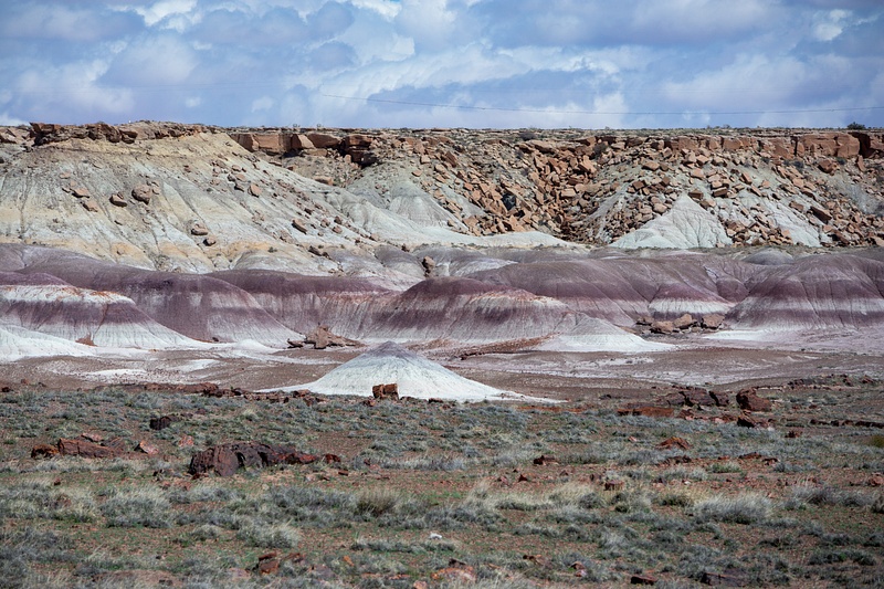 Petrified Forest National Park-5
