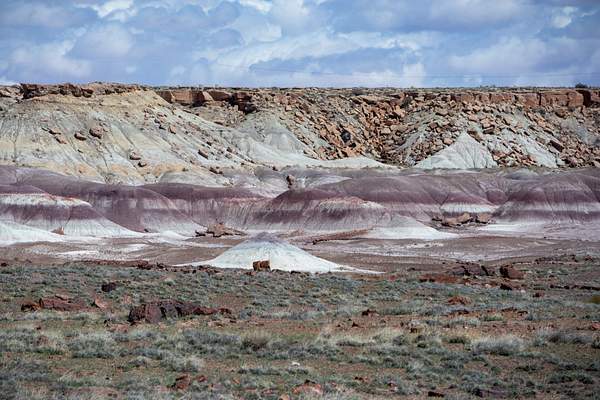 Petrified Forest National Park-5 by Harrison Clark