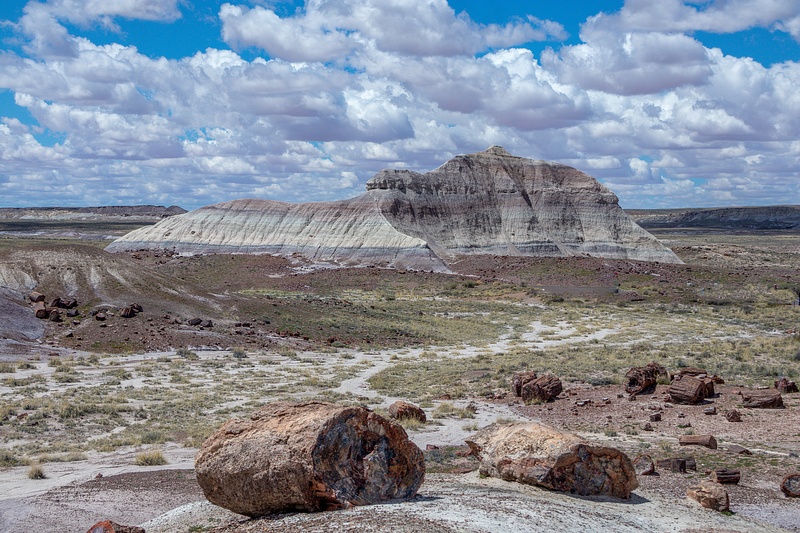 Petrified Forest National Park-24