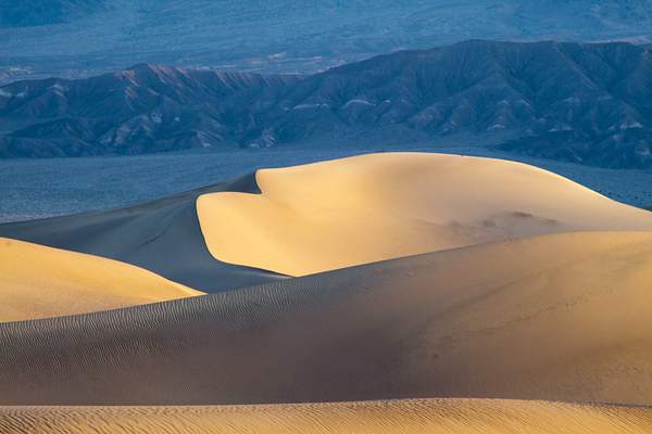 Dunes 7 by Harrison Clark