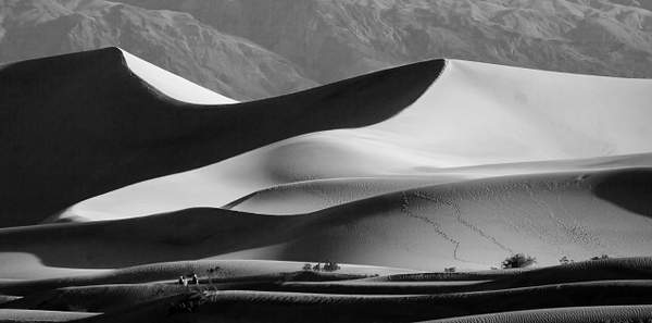 Stove Pipe Wells Dunes by Harrison Clark
