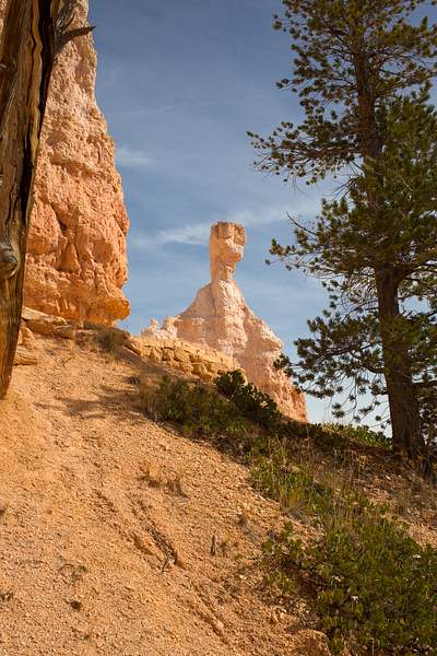 Bryce Canyon-6 by Harrison Clark
