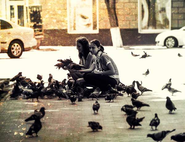 девчонки и голуби. by duckbill