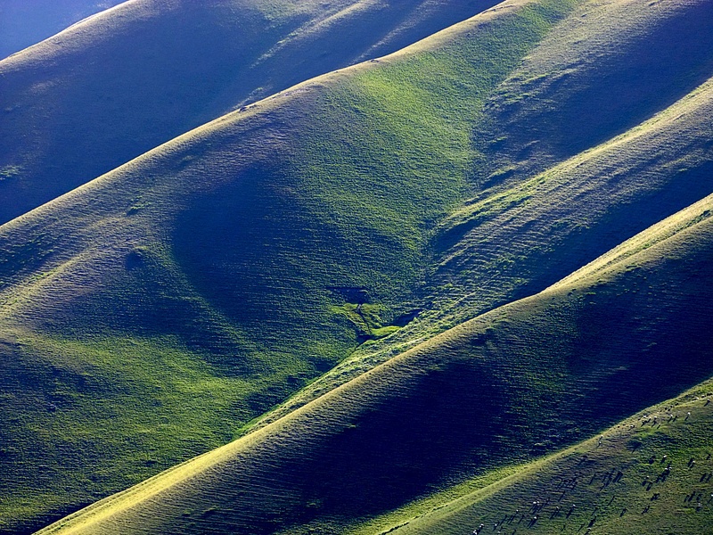 Green rolling hills