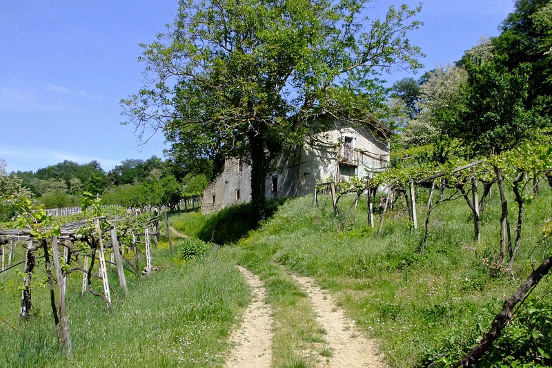 Abandoned house in Parco dell` Annunziata