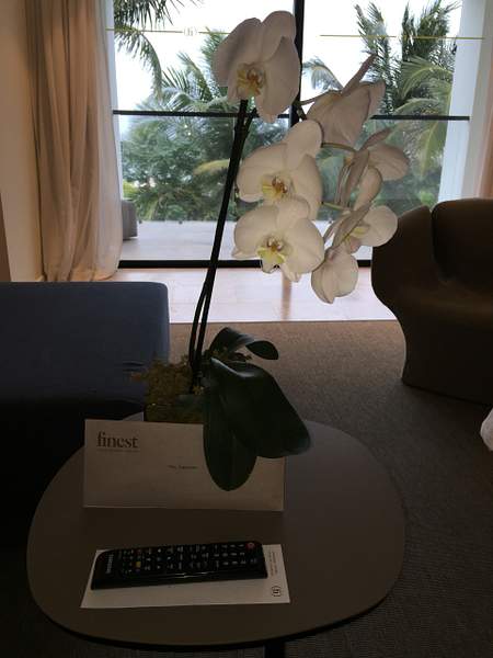 Orchid and 'Welcome' letter by Lovethesun