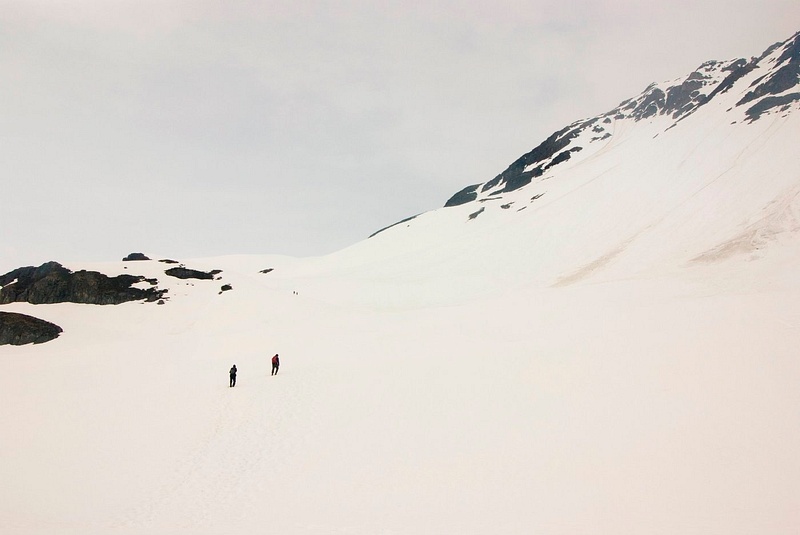 IMGP8502-Harding Icefield Trail