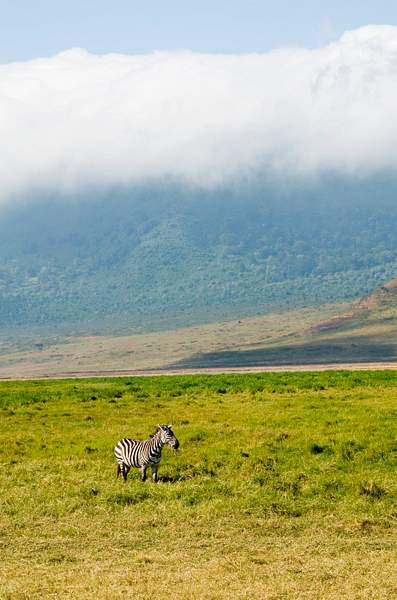 IMGP2241-Ngorongoro by Buutopia