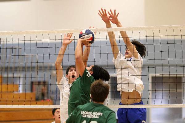 Boys Volleyball by SiPrep